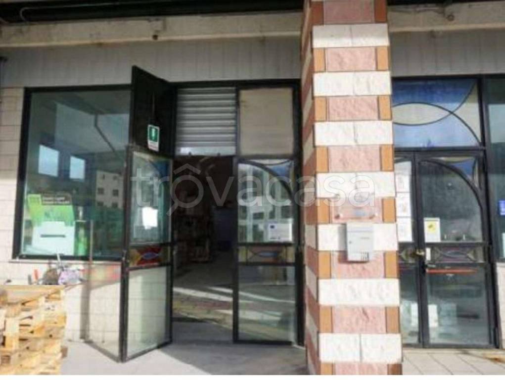 immagine annuncio 10 di 11