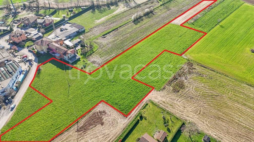 immagine annuncio 2 di 7