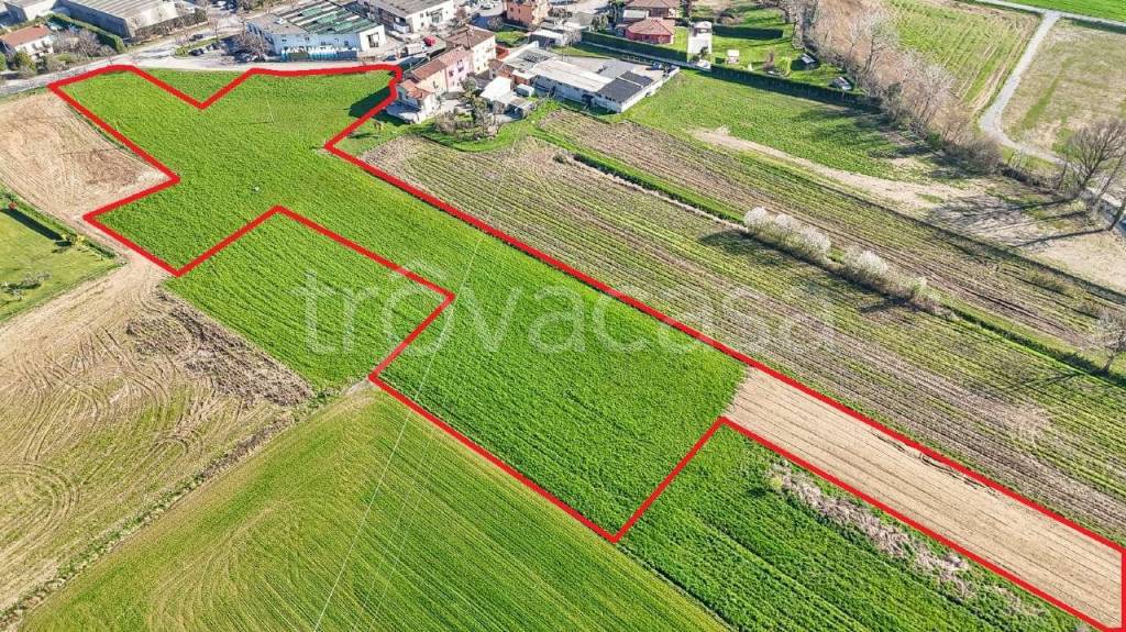 immagine annuncio 4 di 7