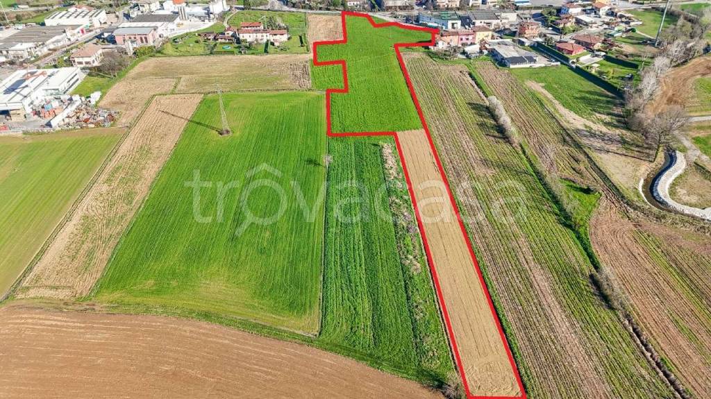 immagine annuncio 5 di 7