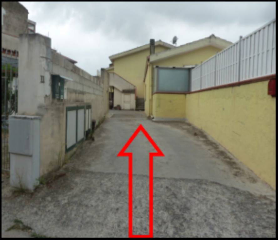 immagine annuncio 3 di 12