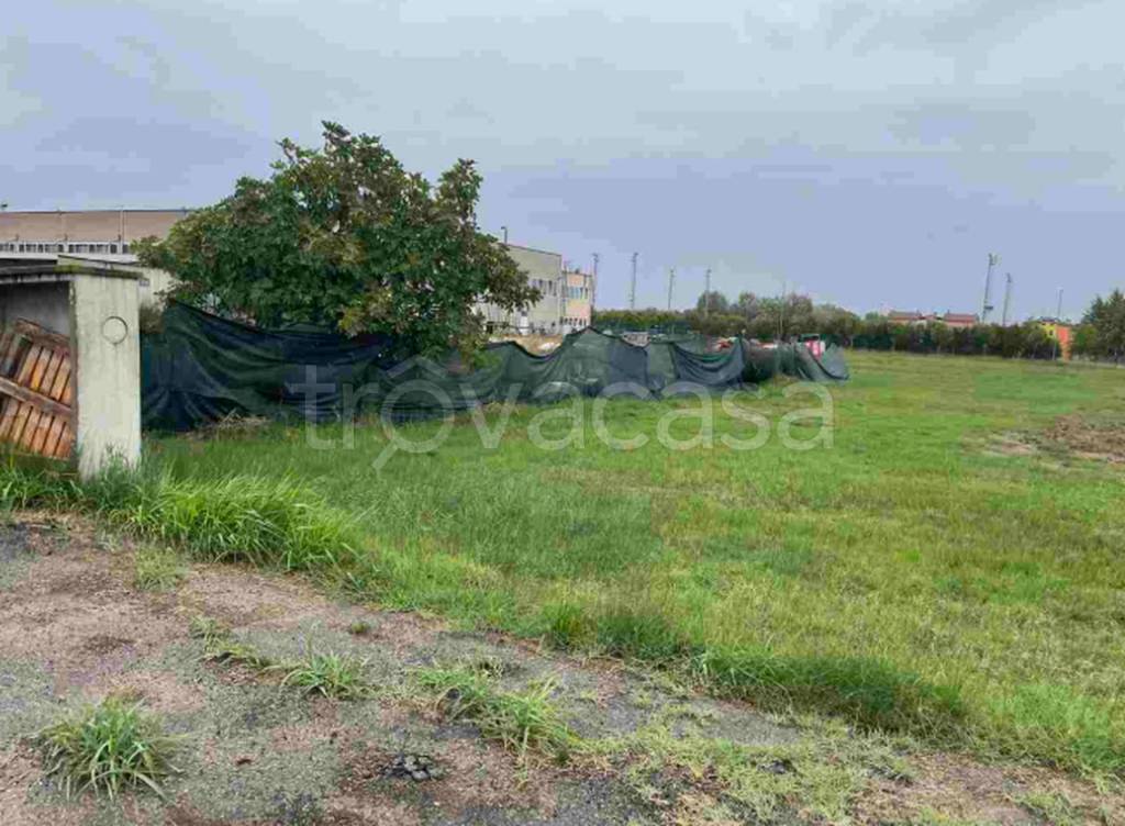 immagine annuncio 2 di 11