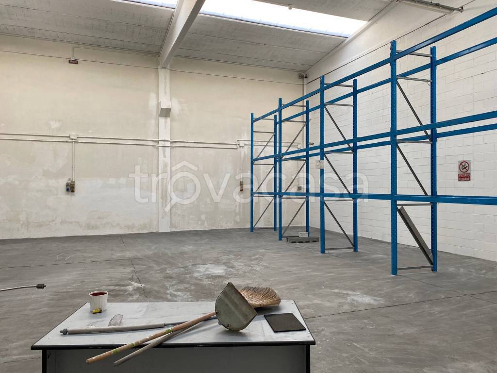 immagine annuncio 12 di 15