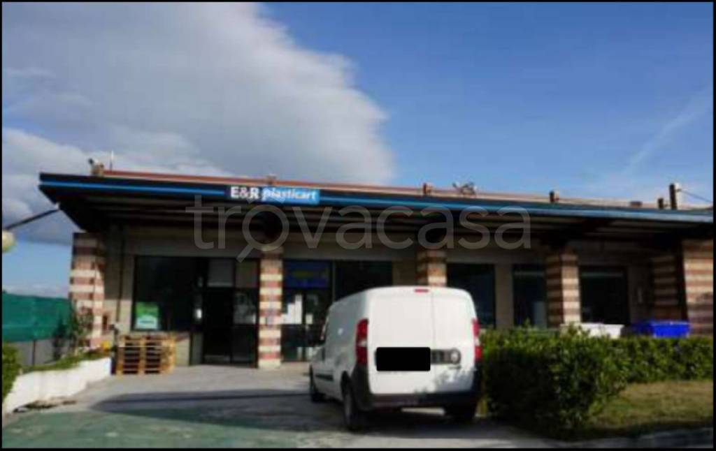 immagine annuncio 2 di 14