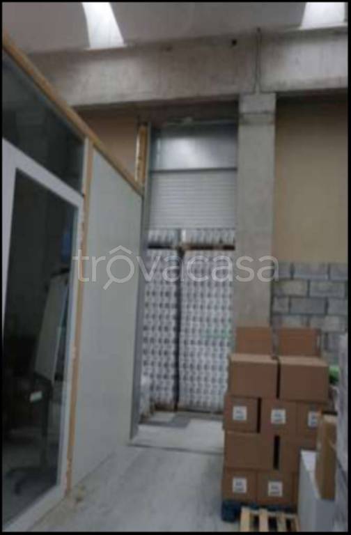 immagine annuncio 5 di 14