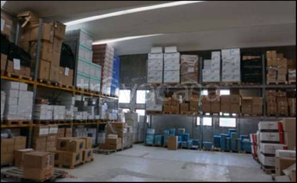 immagine annuncio 6 di 14