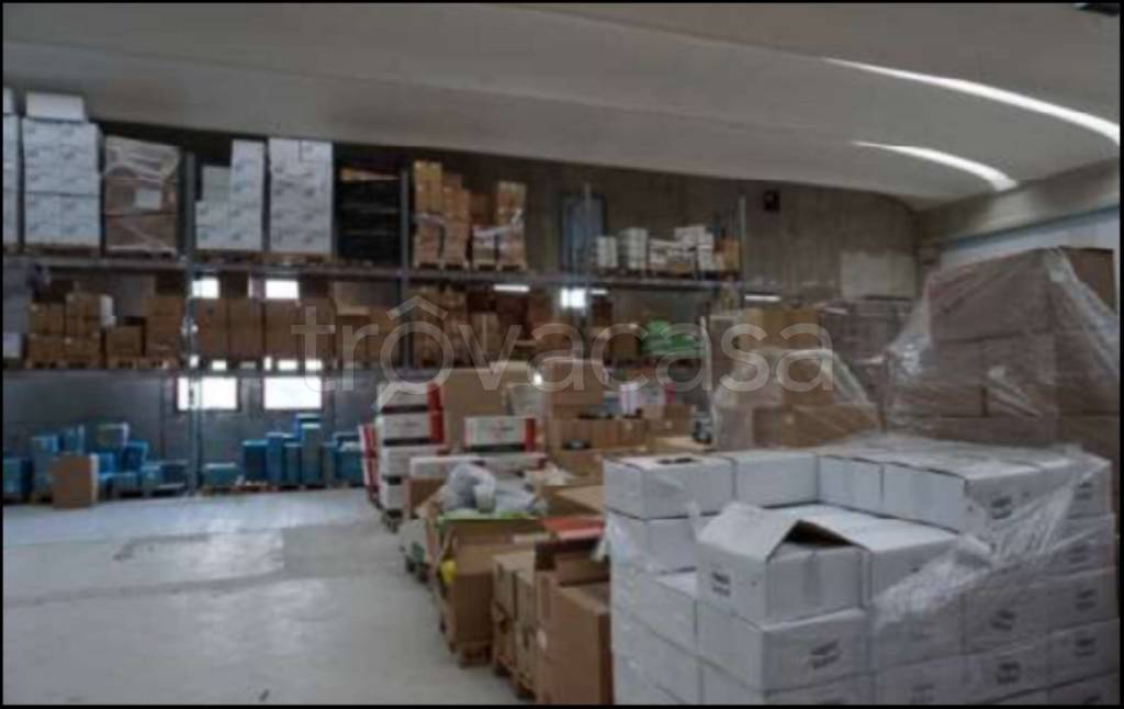 immagine annuncio 7 di 14