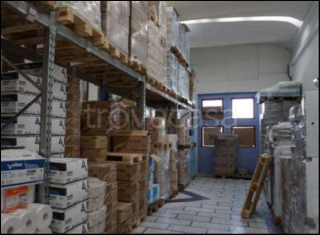 immagine annuncio 9 di 14