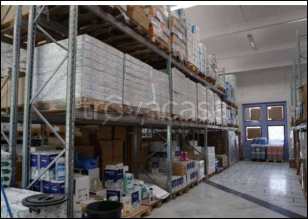 immagine annuncio 10 di 14