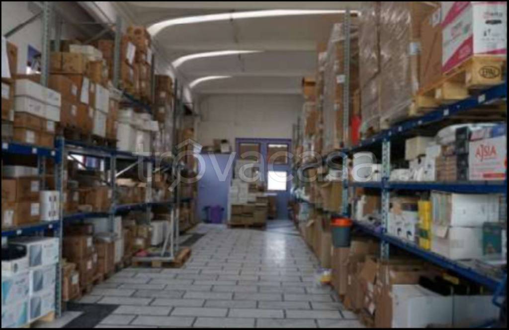 immagine annuncio 11 di 14