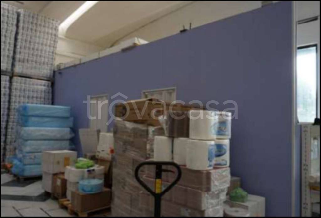 immagine annuncio 12 di 14