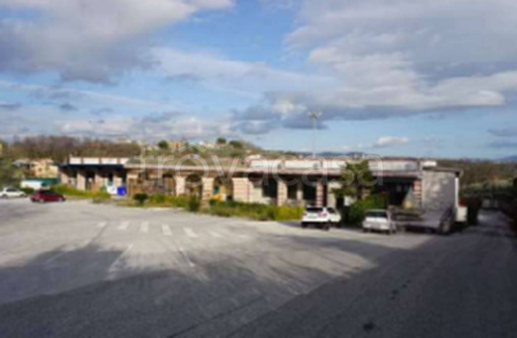 immagine annuncio 4 di 11