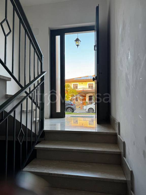 immagine annuncio 12 di 13