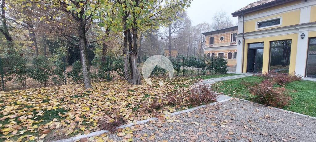 immagine annuncio 13 di 14