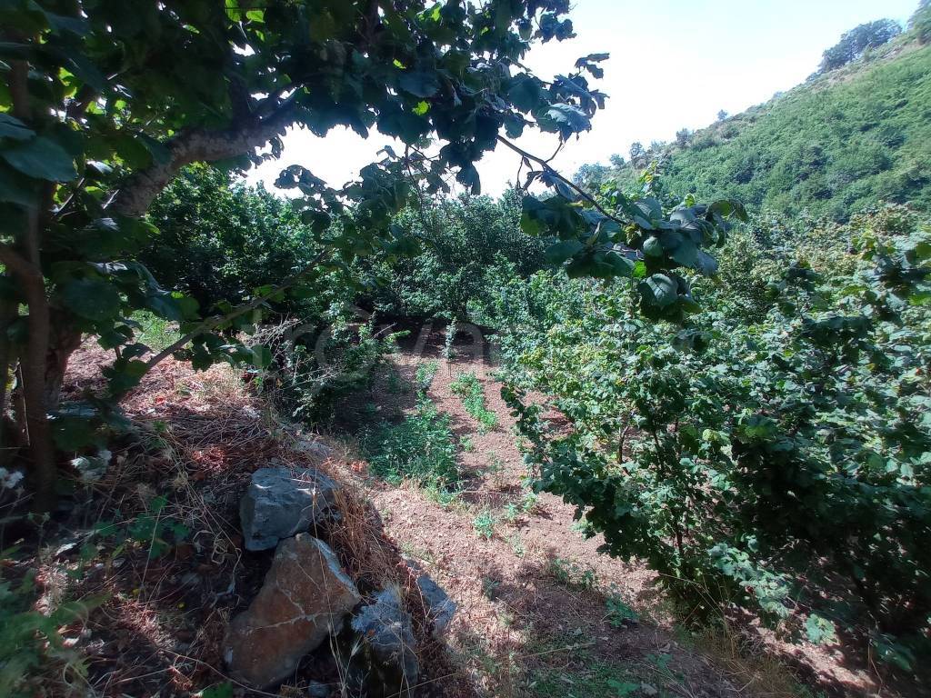 immagine annuncio 8 di 14