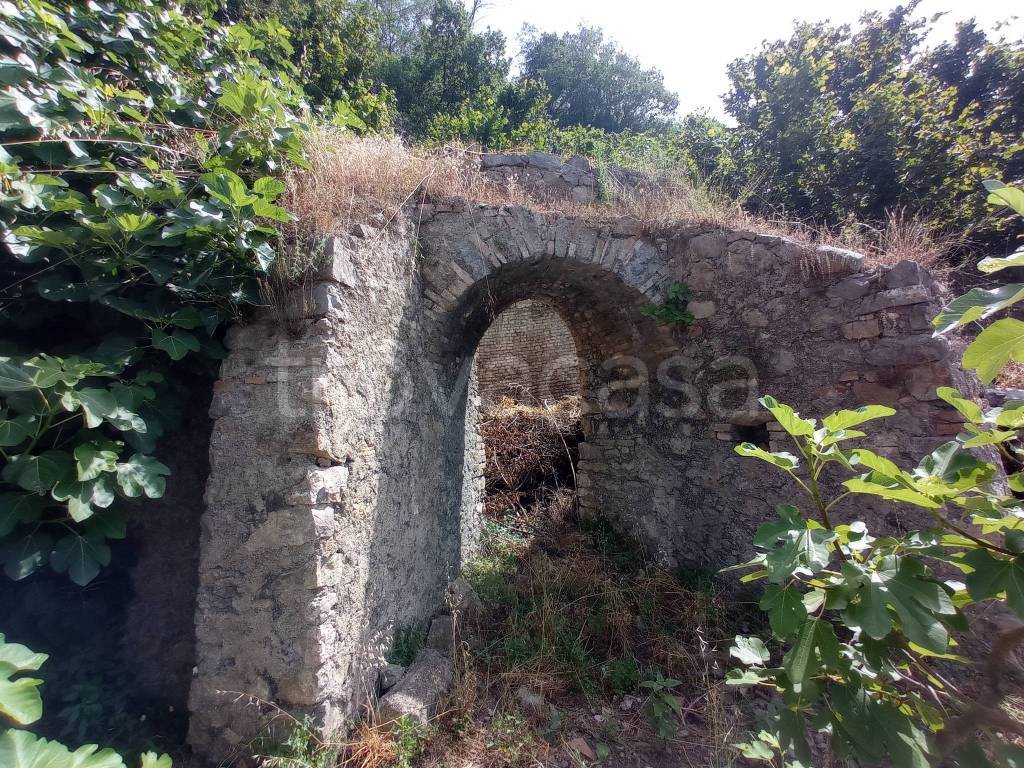 immagine annuncio 10 di 14