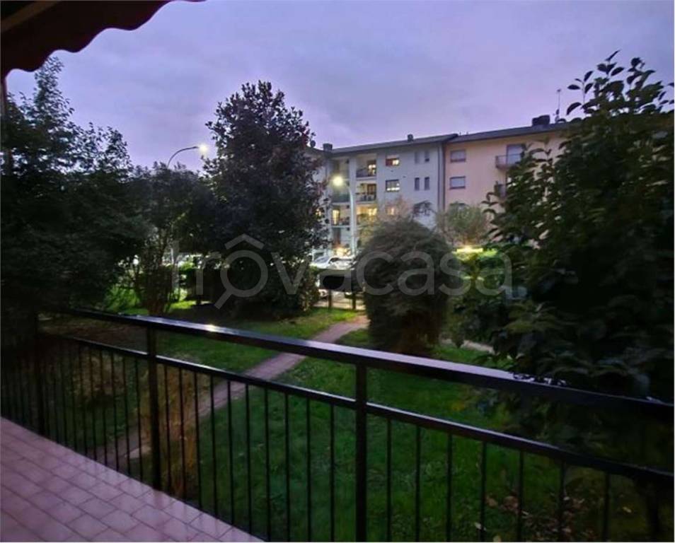 immagine annuncio 5 di 14