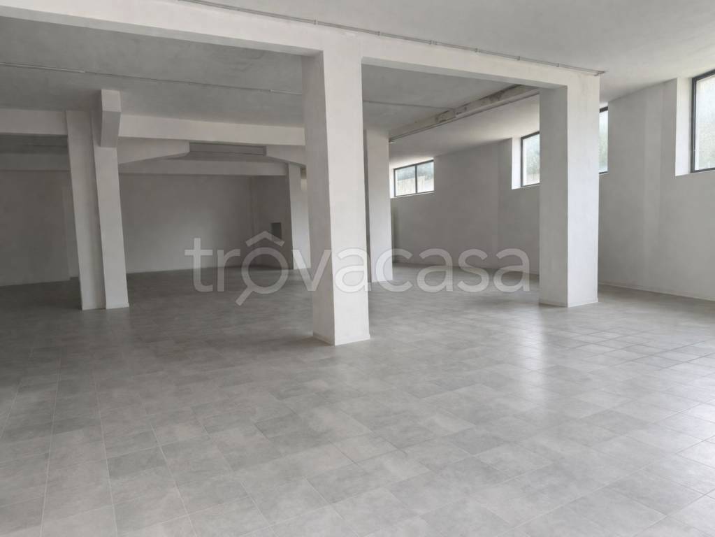 immagine annuncio 2 di 7