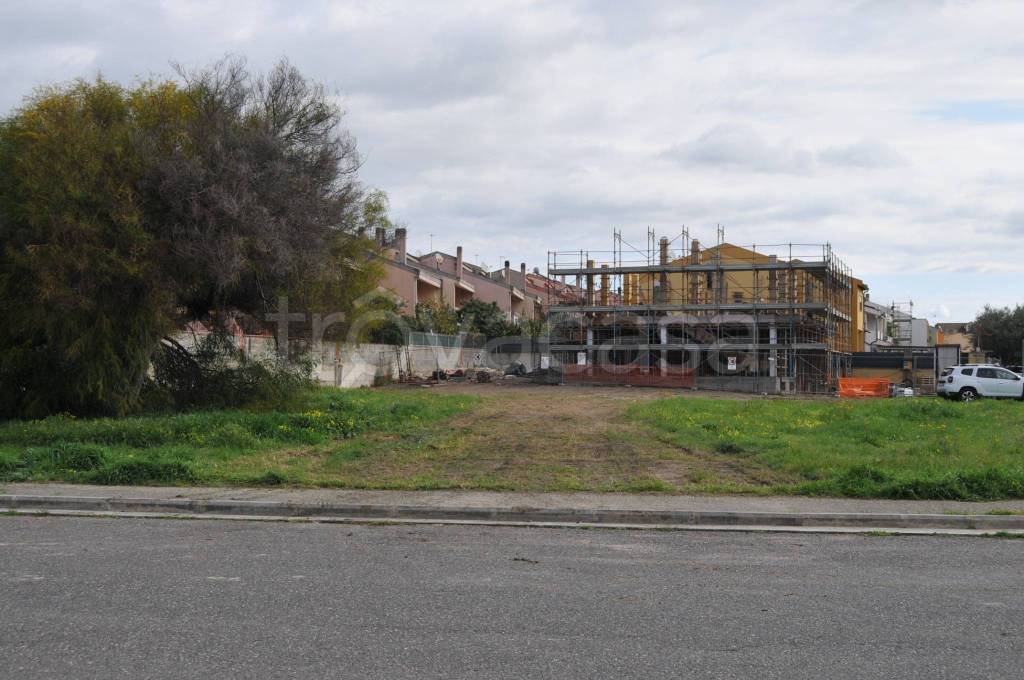 immagine annuncio 11 di 12