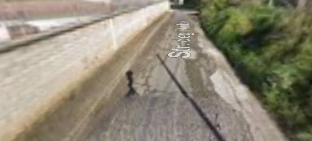 immagine annuncio 3 di 11