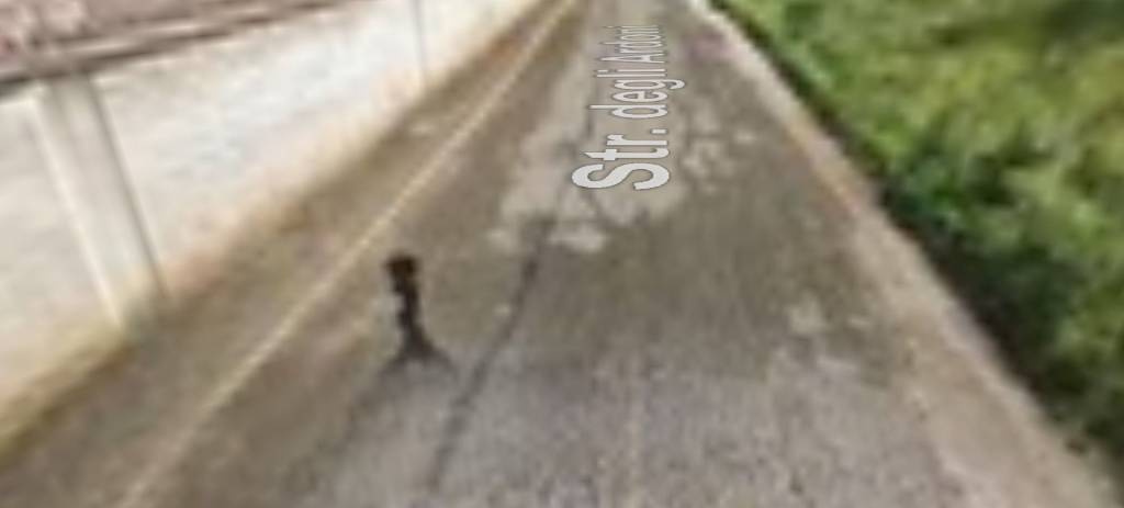 immagine annuncio 4 di 11