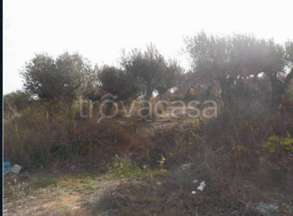 immagine annuncio 10 di 13