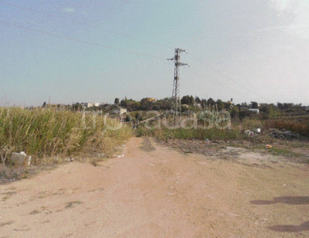 immagine annuncio 11 di 13