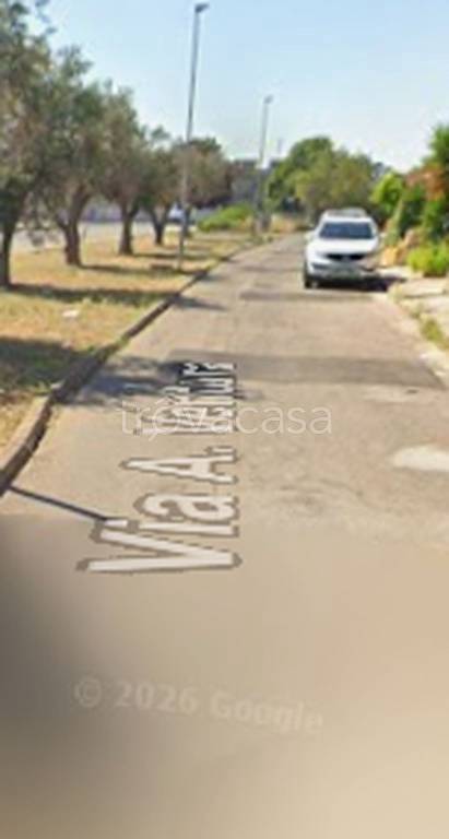 immagine annuncio 7 di 11