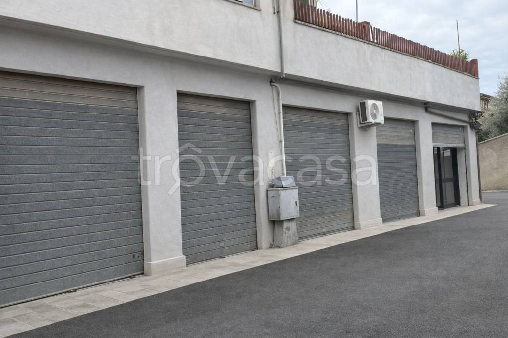 immagine annuncio 6 di 7