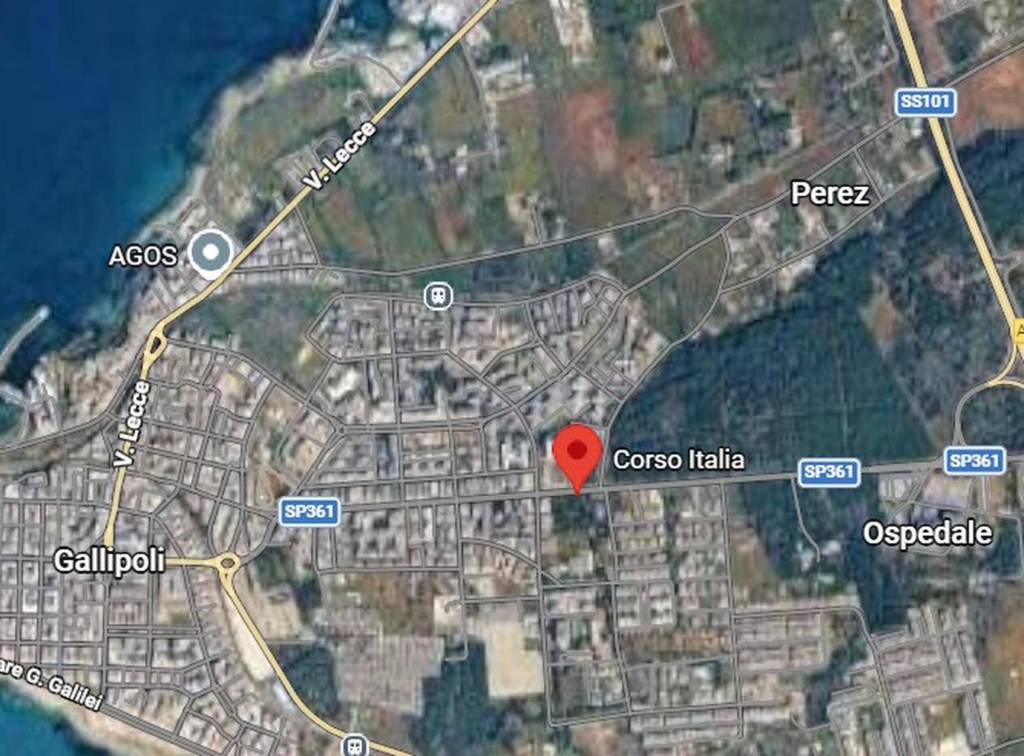 immagine annuncio 2 di 12