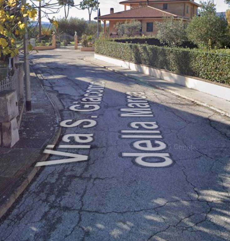 immagine annuncio 6 di 11