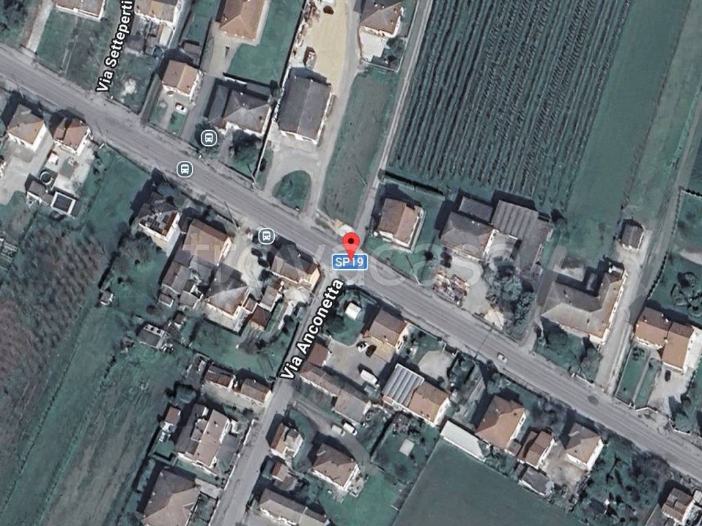 immagine annuncio 10 di 14