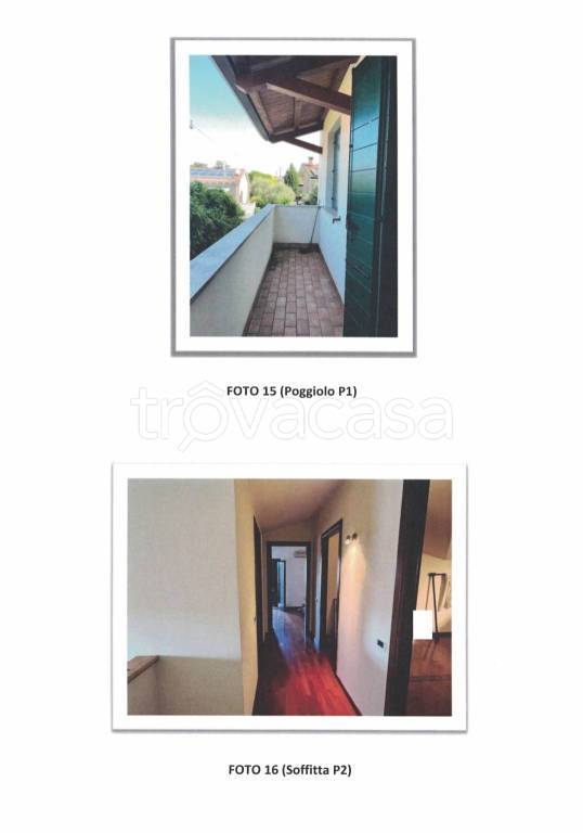 immagine annuncio 7 di 14