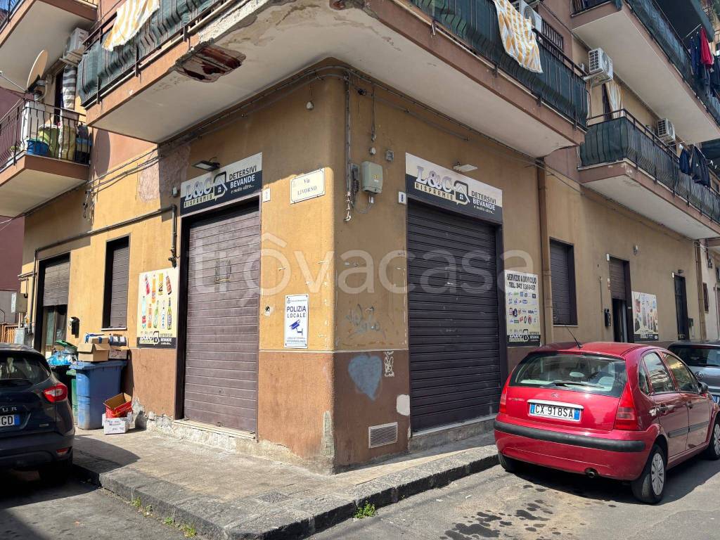 immagine annuncio 4 di 13