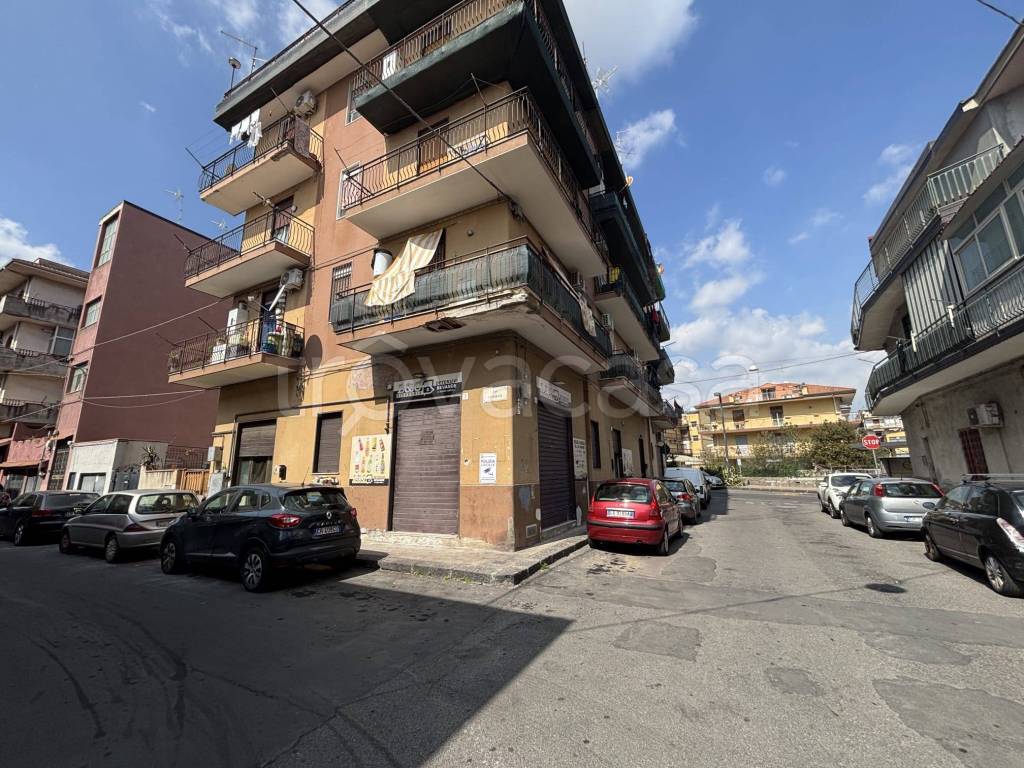 immagine annuncio 5 di 13