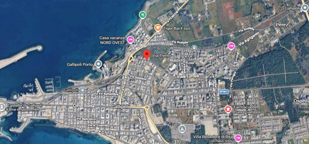 immagine annuncio 3 di 10