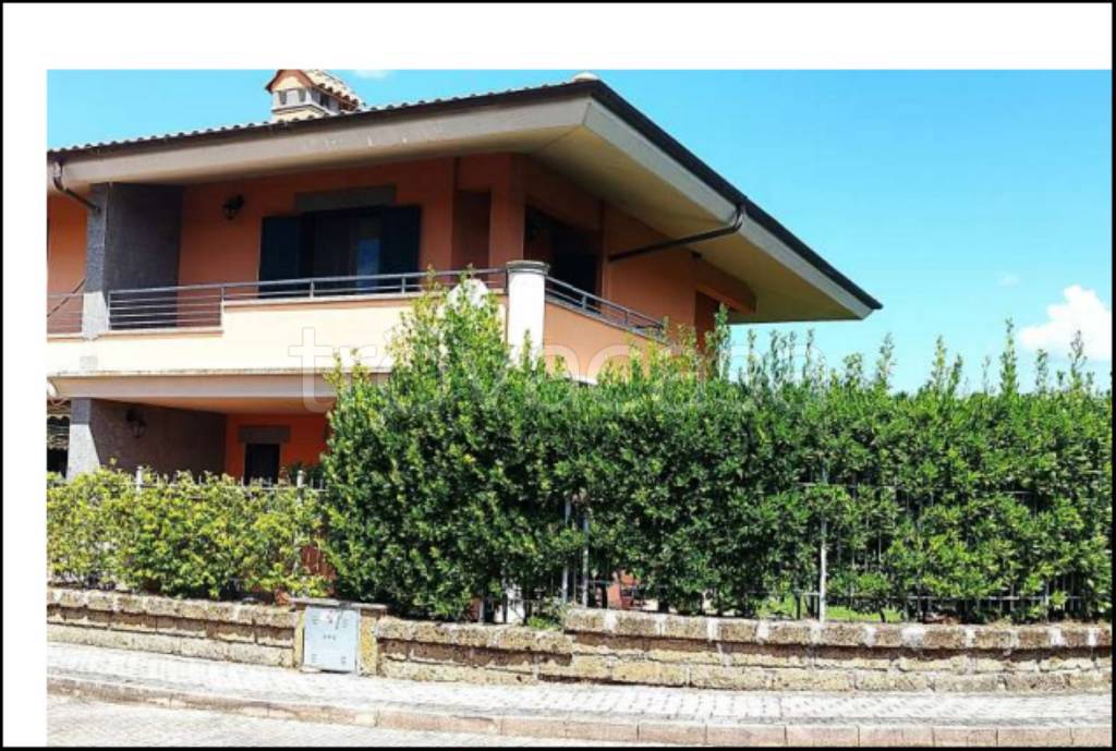 immagine annuncio 2 di 14