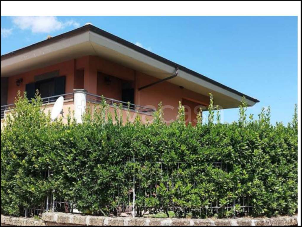 immagine annuncio 3 di 14