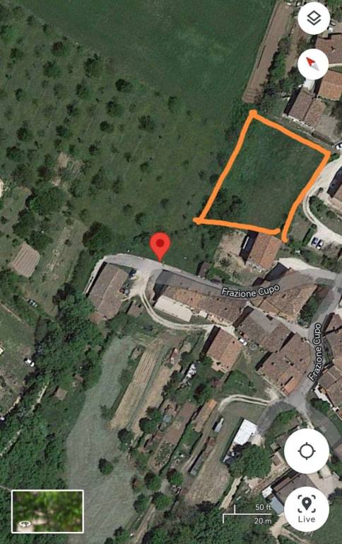 immagine annuncio 2 di 10