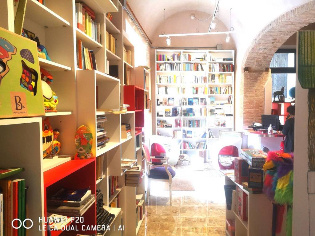 immagine annuncio 3 di 6