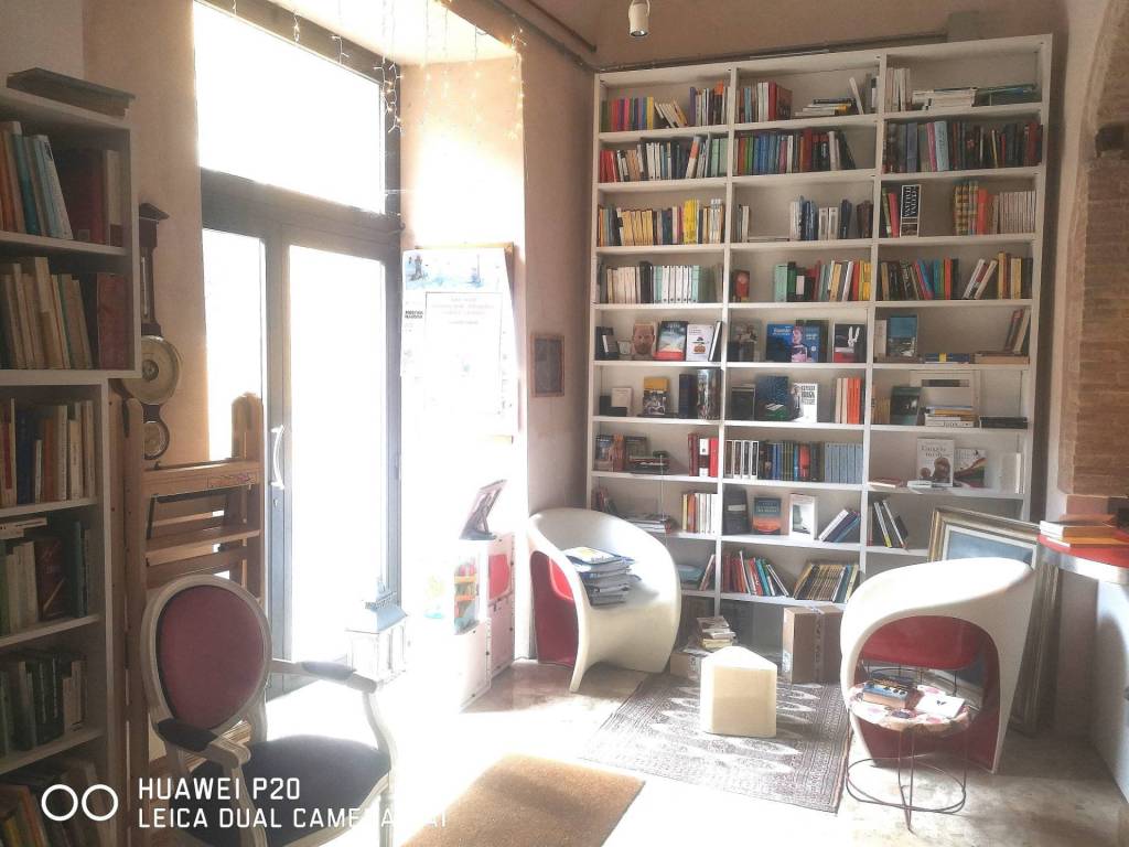 immagine annuncio 4 di 6