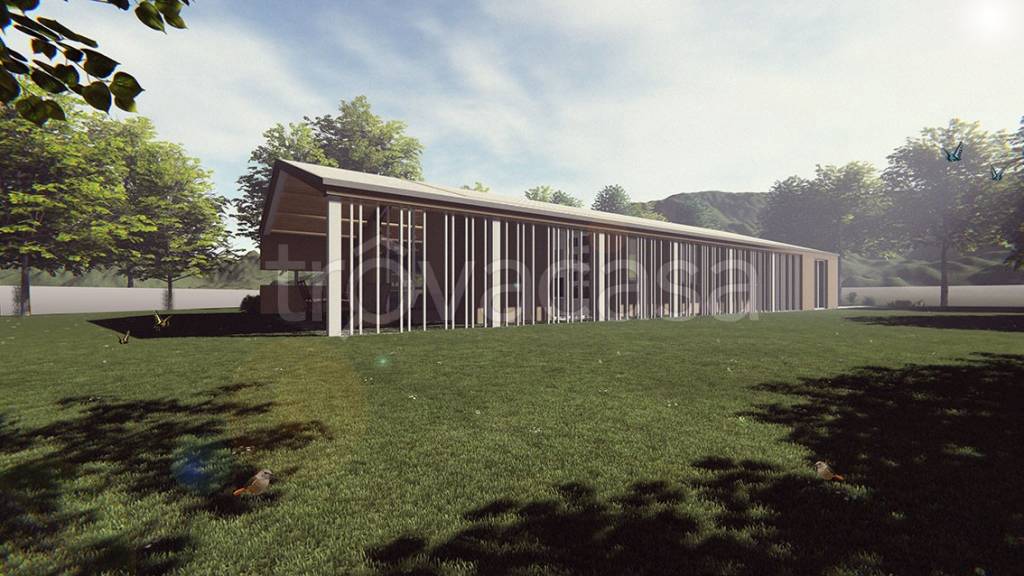 immagine annuncio 2 di 9