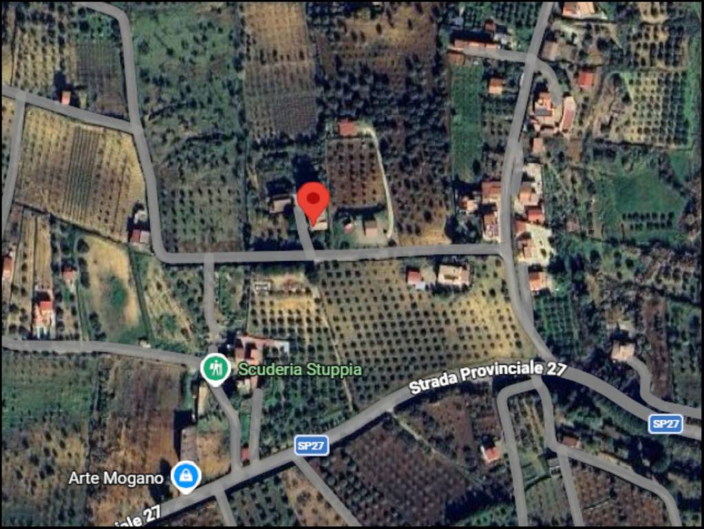 immagine annuncio 10 di 11