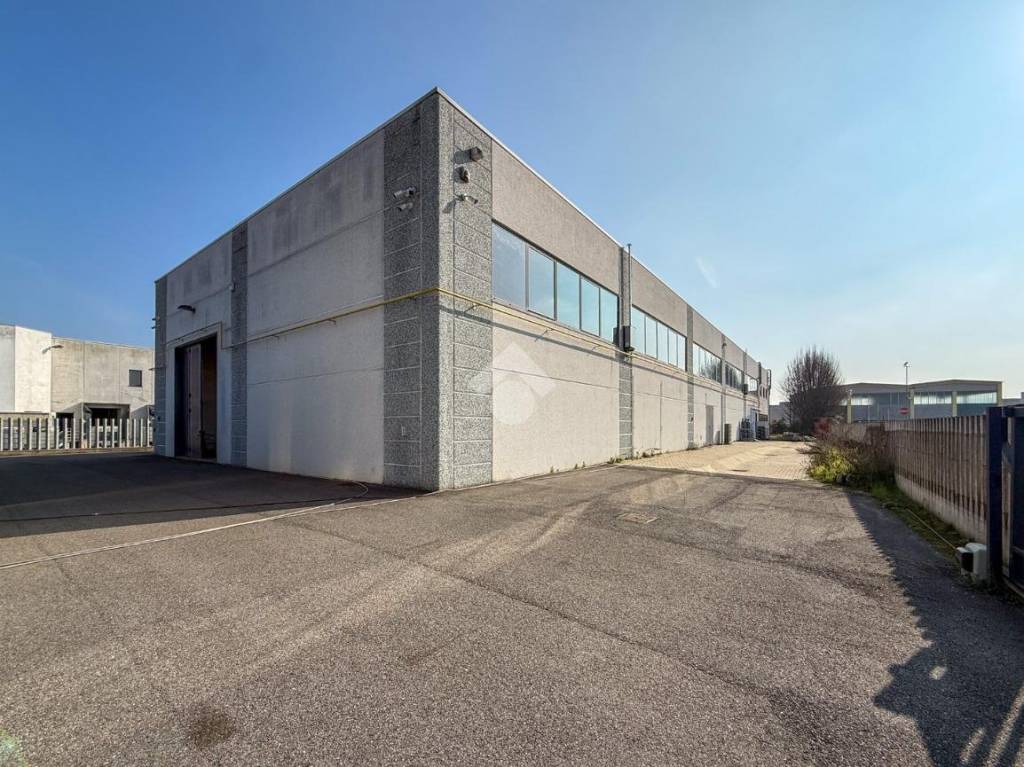 immagine annuncio 7 di 15