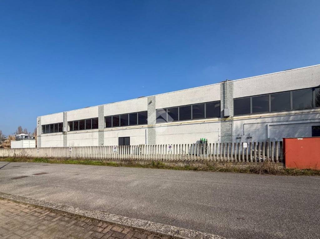 immagine annuncio 9 di 15