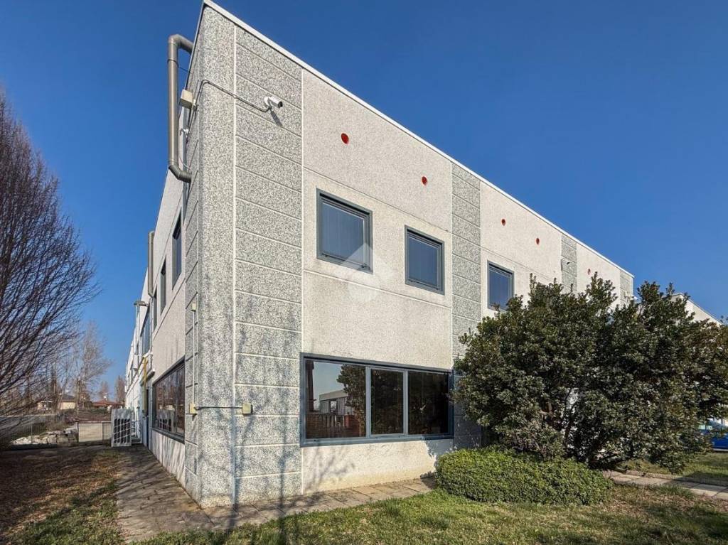 immagine annuncio 11 di 15