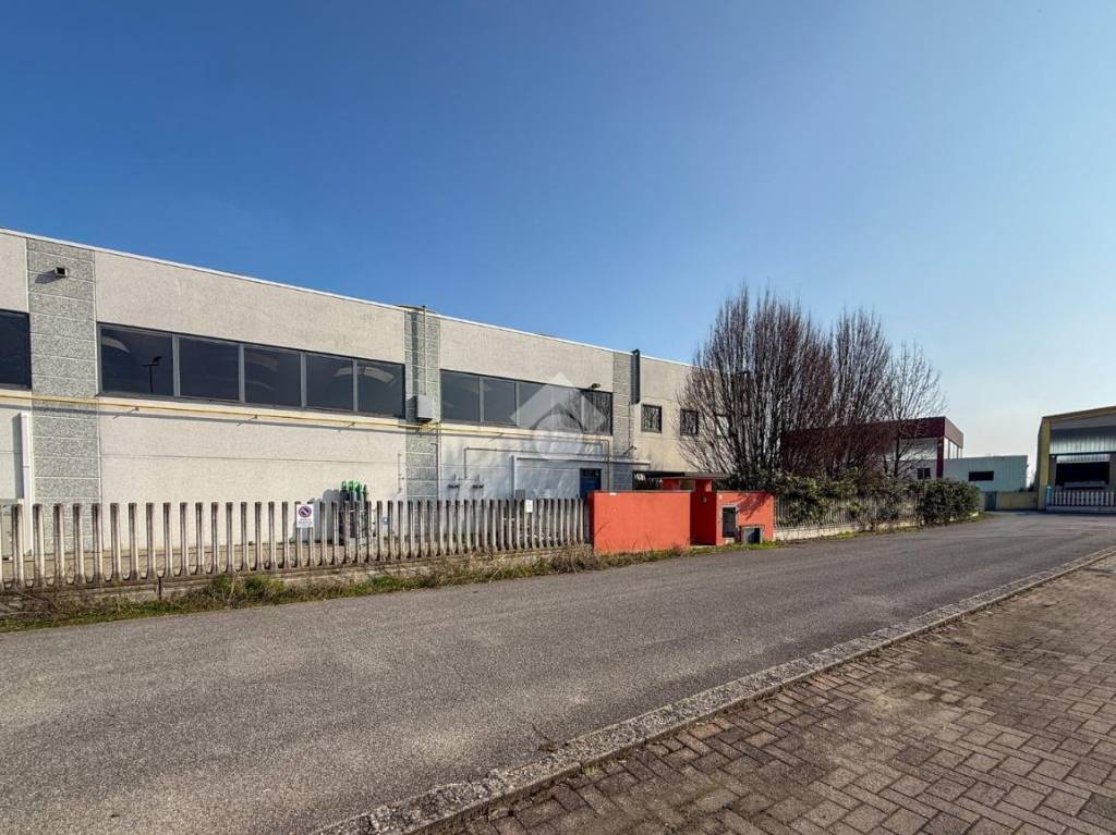 immagine annuncio 12 di 15