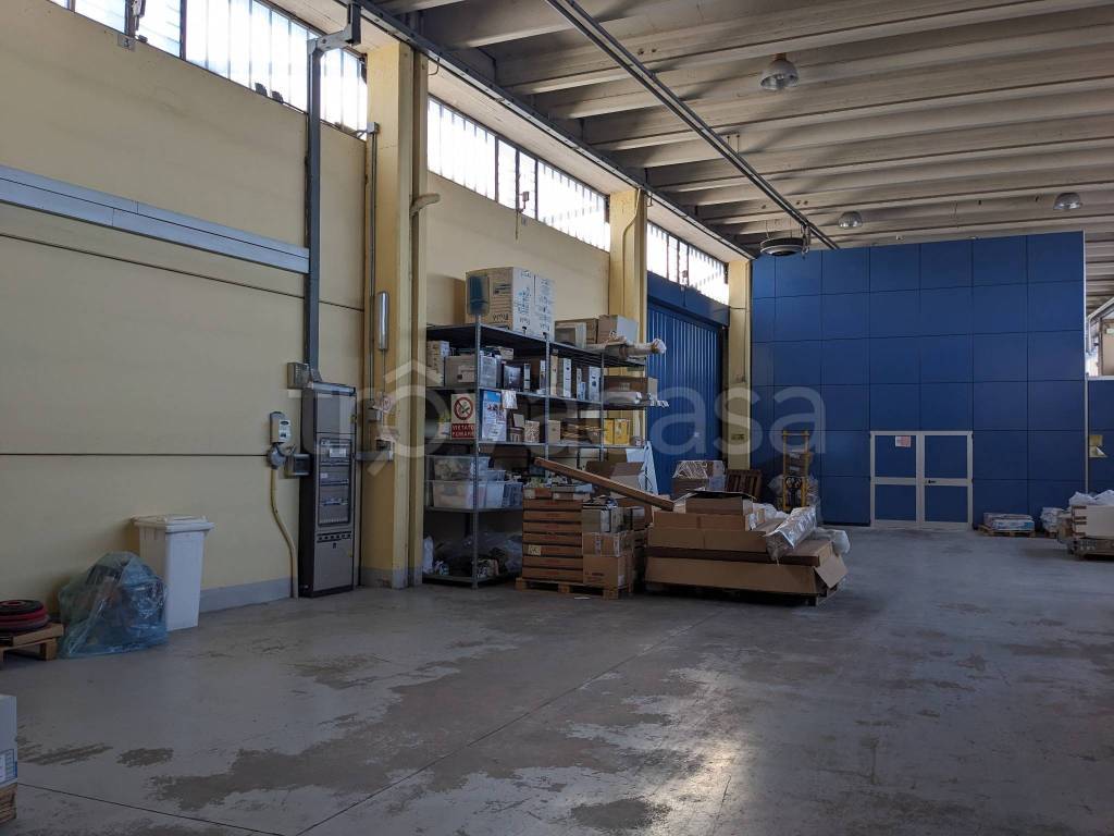 immagine annuncio 10 di 15