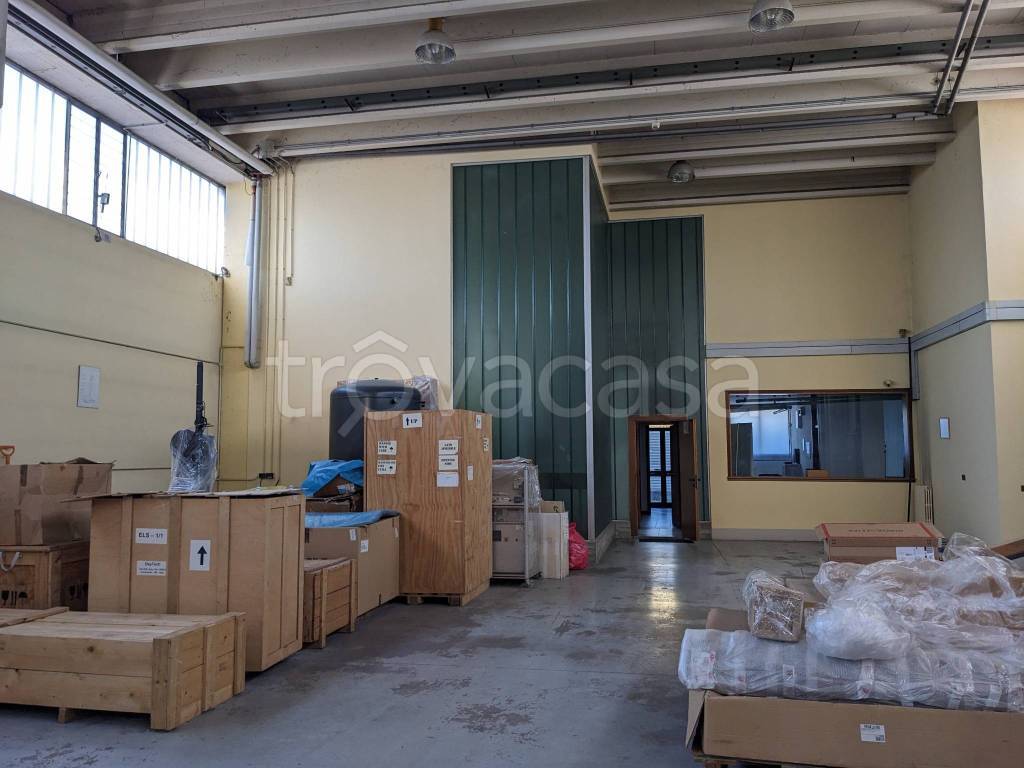 immagine annuncio 9 di 15