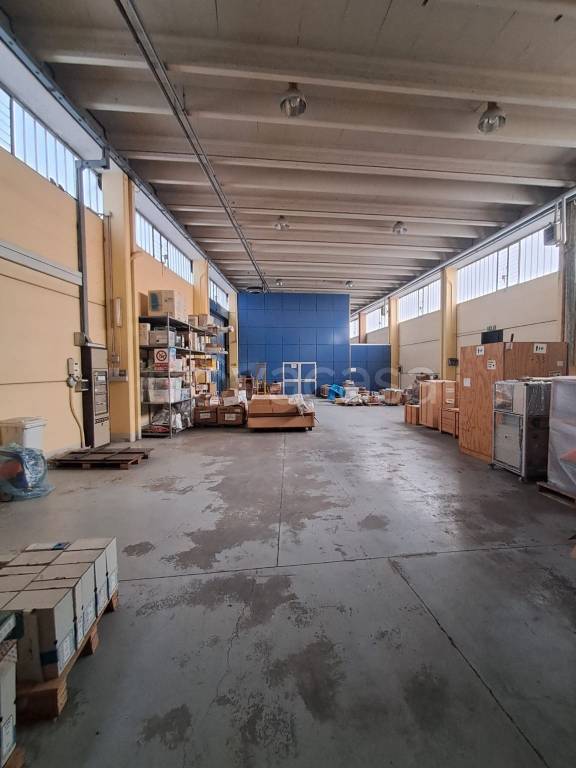 immagine annuncio 13 di 15